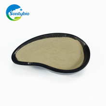 Additif pour l&#39;alimentation biologique Bacillus Subtilis Fermentation